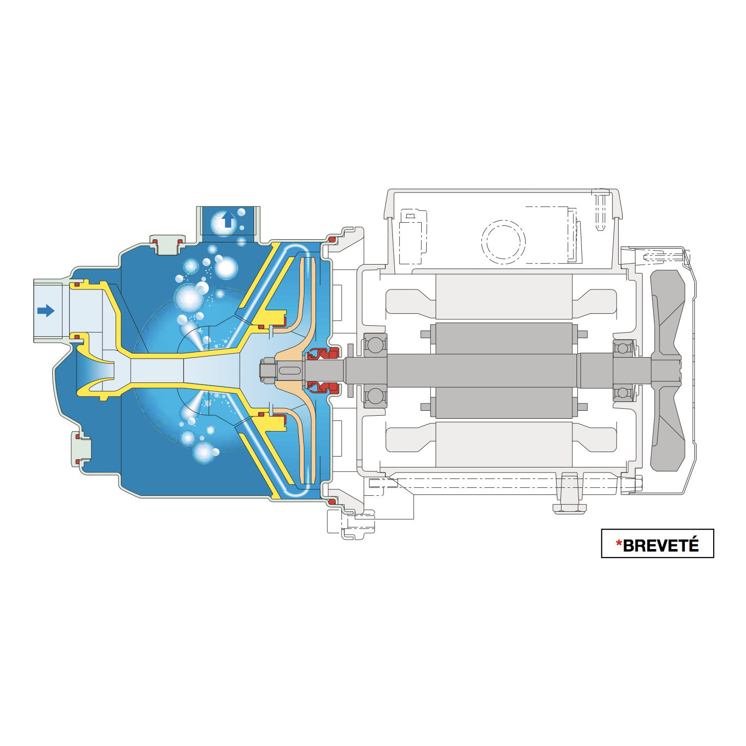 Pompe à eau auto amorçante Calpeda NGXM416 - Inox 1,10 kW 4,5 m3/h 220V - Pompe de surface pour puit