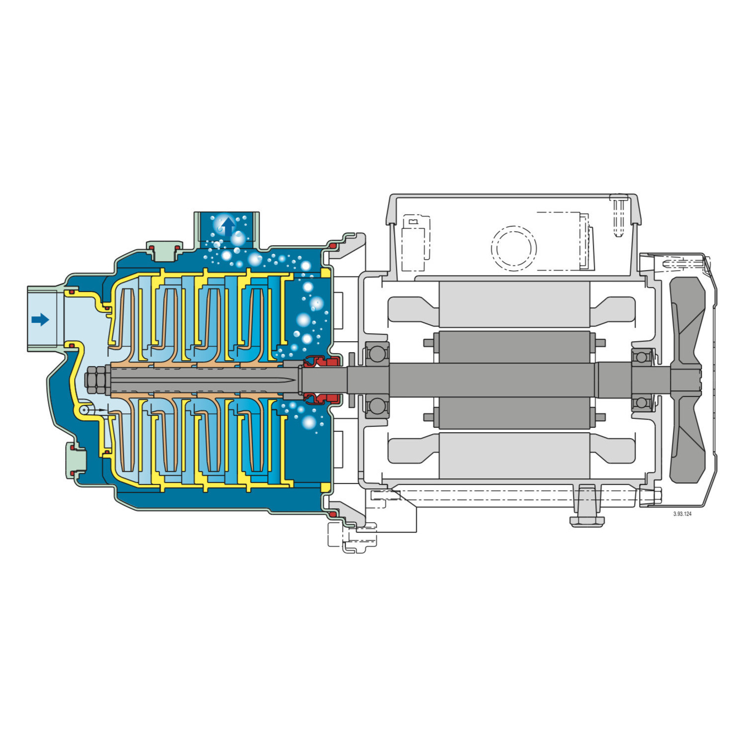 Pompe à eau multicellulaire auto amorçante Calpeda MXAM204 - Inox 0,55 kW 4,5 m3/h 220V - Pompe de surface pour jardin
