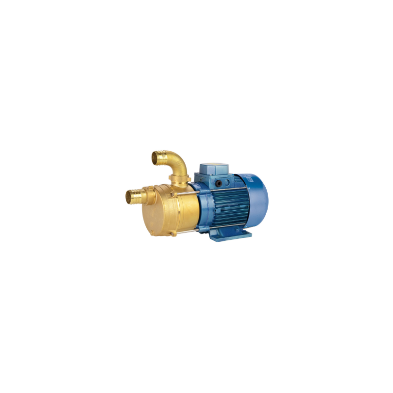 Pompe de transfert laiton - ECC 24-20 24V 0,22KW