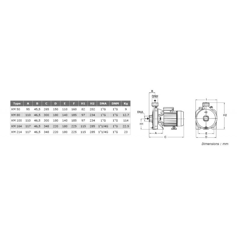 Pompe de surface centrifuge 380V - 0.75kW - 1"1/2