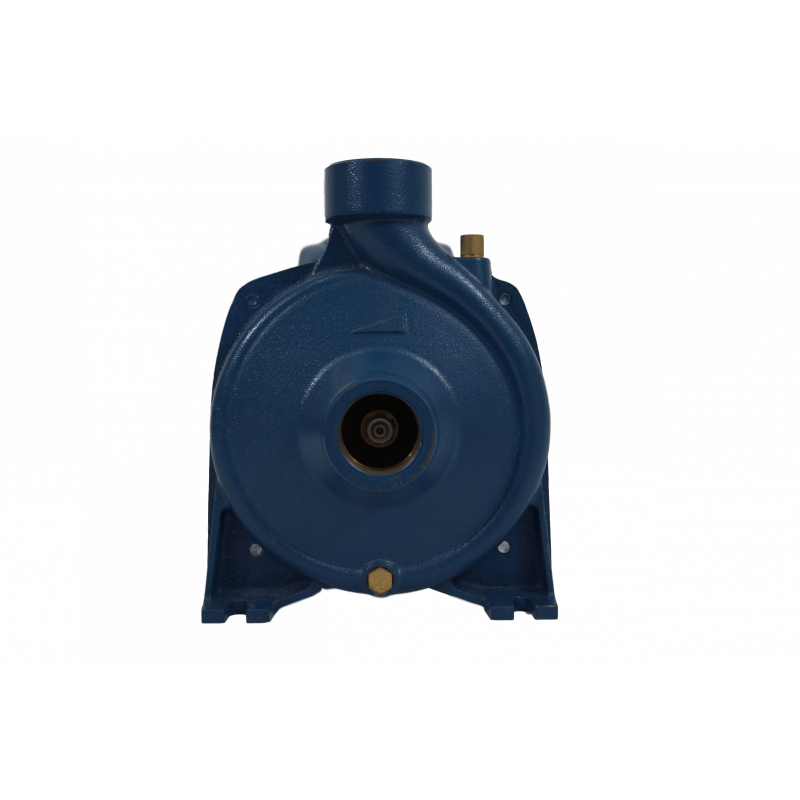 Pompe de surface centrifuge 230V - 0.75kW - 1"1/2