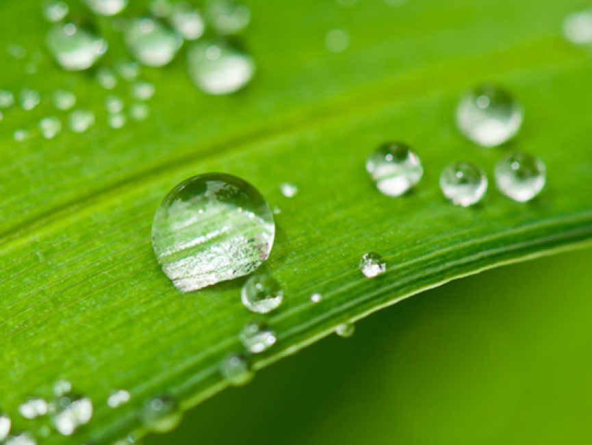 Installer une cuve eau pluie : une alternative écologique et économique